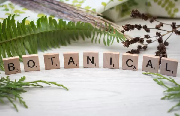Botanical letters with Plants in a background