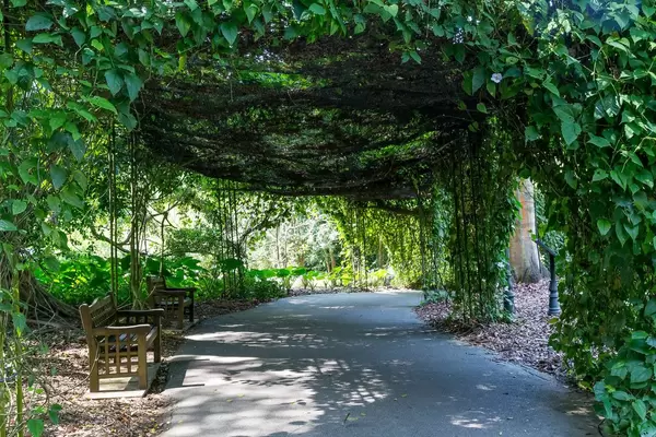 Botanischer Garten in Singapur