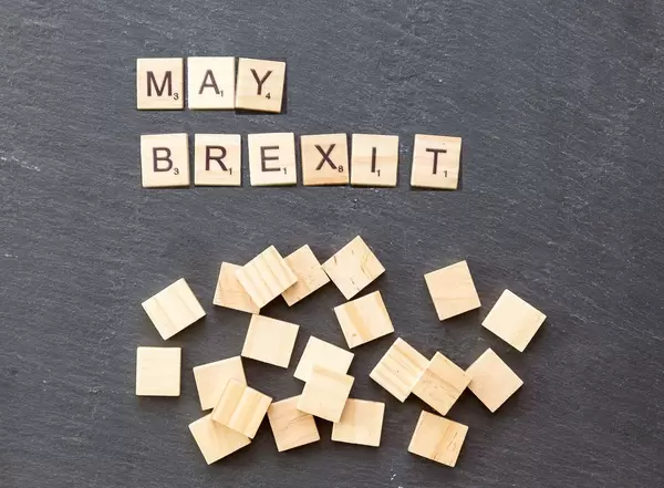 Both pro and anti-Brexit lawmakers back ousting PM May: former Conservative chairman