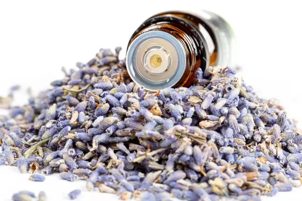 Bottle of essential oil and lavender flowers, close up