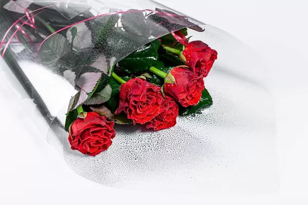 Bouquet of red roses on a white background (Flip 2019)
