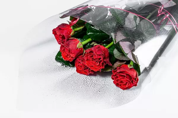 Bouquet of red roses on a white background
