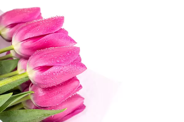 Bouquet of tulips on white with free space