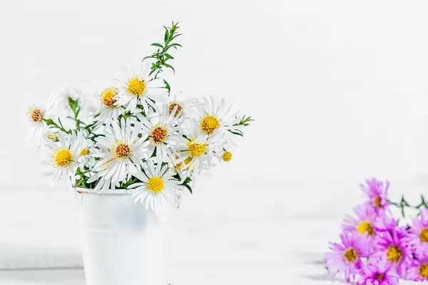 Bouquet of white daisies in a bucket