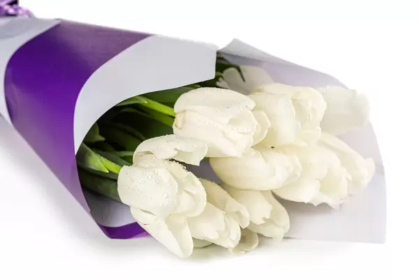 Bouquet of white tulips in a purple and white package