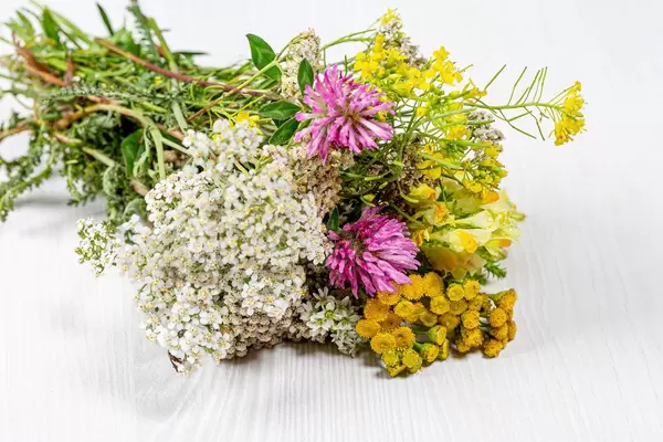 Bouquet of wildflowers on a white wooden background (Flip 2019)