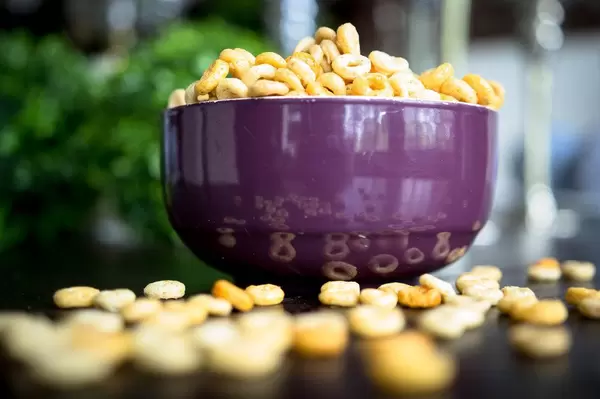 Bowl full of cheerios