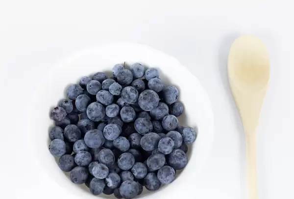 Bowl of fresh blueberries