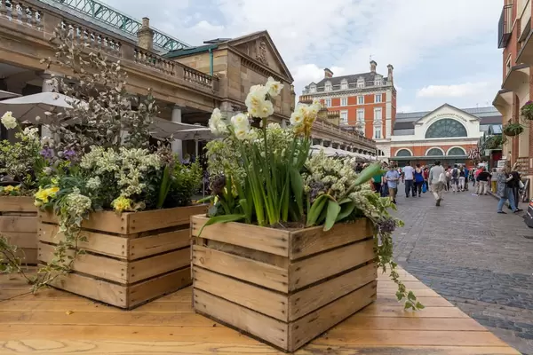 Boxes with flowers at a market in London