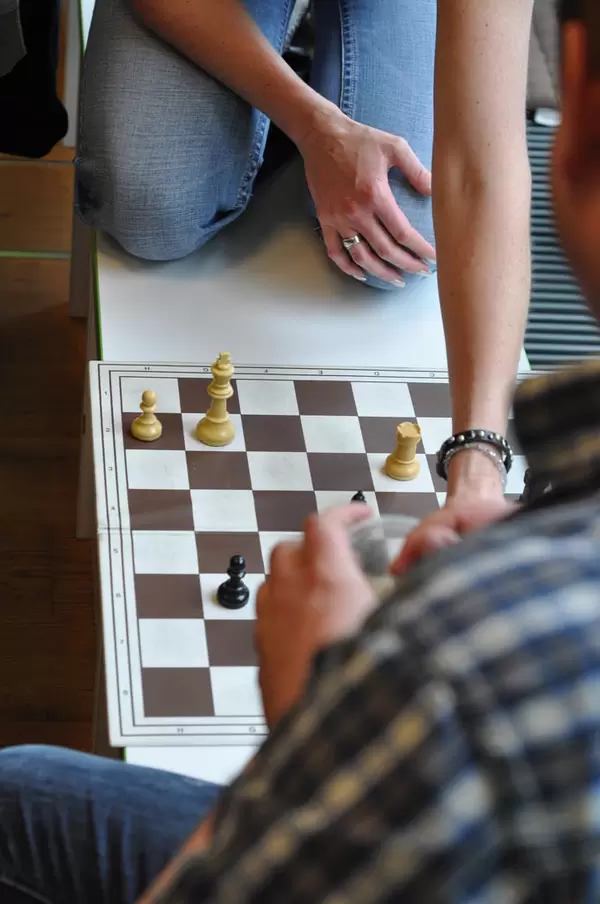 BrainCamp: Schach