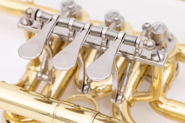 Brass Trumpet buttons in closeup image