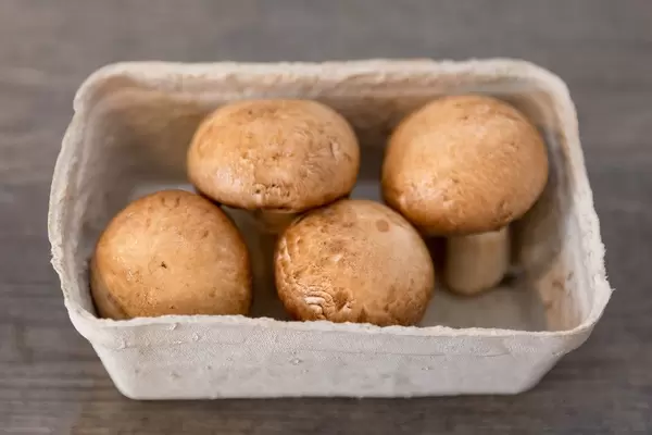 Braune Champignons in einem Papierbehälter