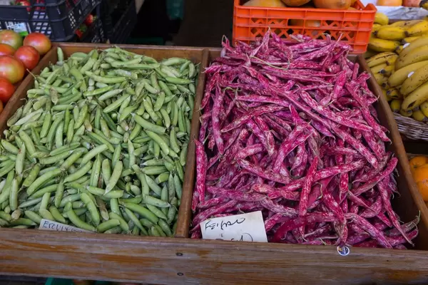 Brechbohnen auf Mercado dos Lavradores in Funchal, Madeira