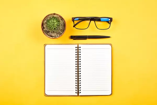 Bright workspace of content manager. Notepad with pen and cactus plant