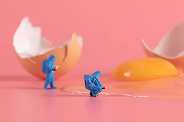 Broken brown chicken egg with workers in protective clothes