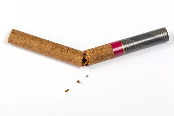 Broken cigarette on white background