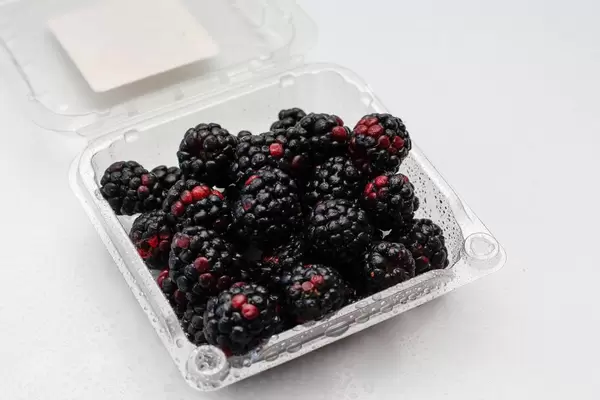 Brombeeren in Plastikschachtel vor weißem Hintergrund