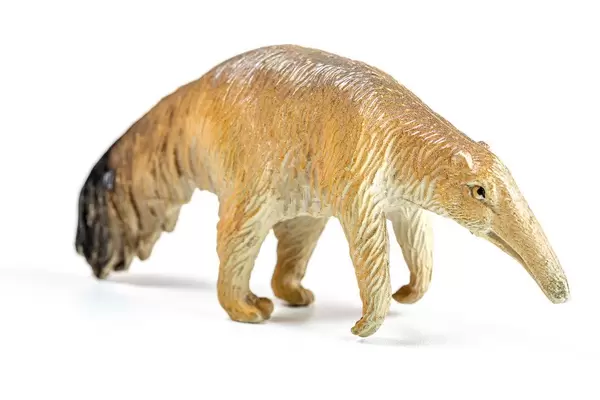 Brown anteater on a white background