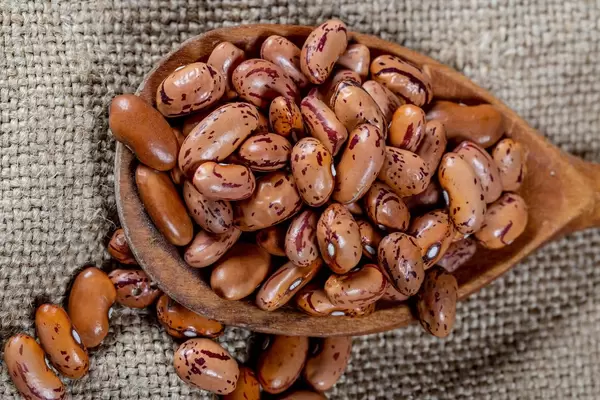 Brown beans on burlap with a wooden spoon