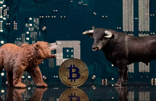 Brown bear and black bull with golden Bitcoin coin and computer parts in the background
