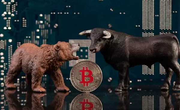 Brown bear and black bull with silver Bitcoin coin and computer parts in the background