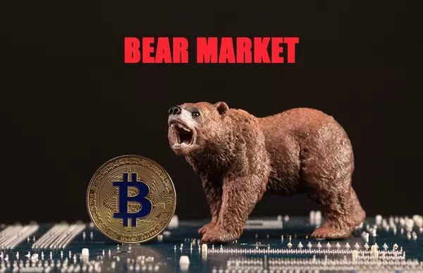 Brown bear with Bitcoin and Bear Market text