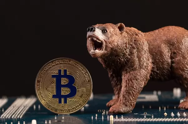 Brown bear with Bitcoin coin