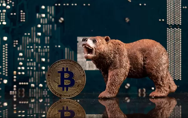 Brown bear with golden Bitcoin coin