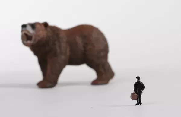 Brown bear with man with suitcase