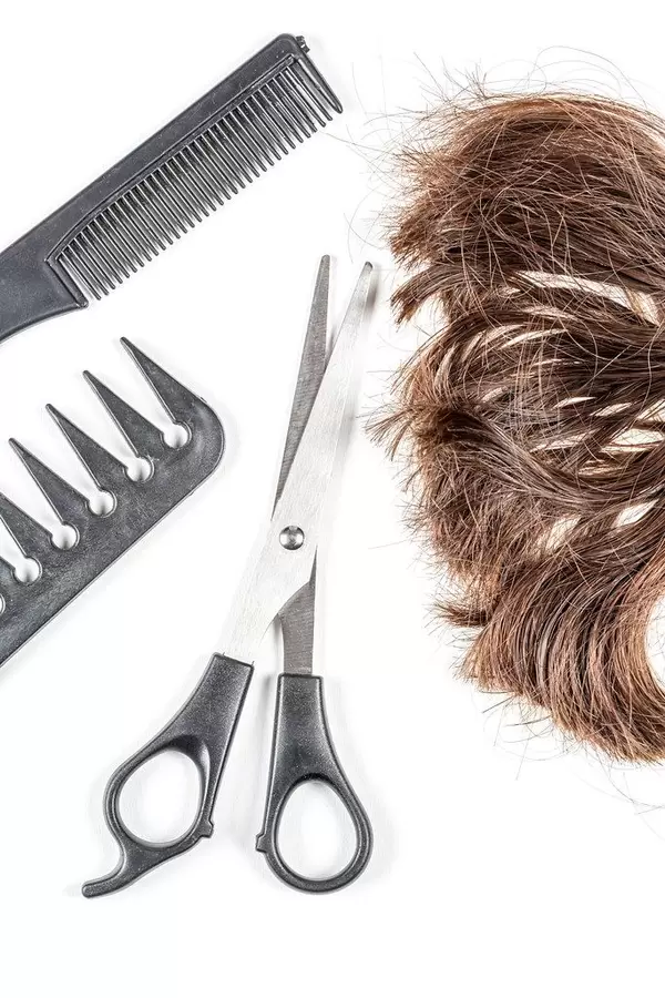 Brown hair with scissors and combs, top view (Flip 2020)