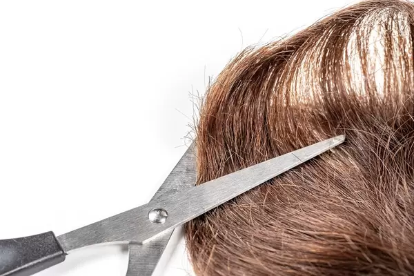 Brown hair with scissors on white background (Flip 2020)