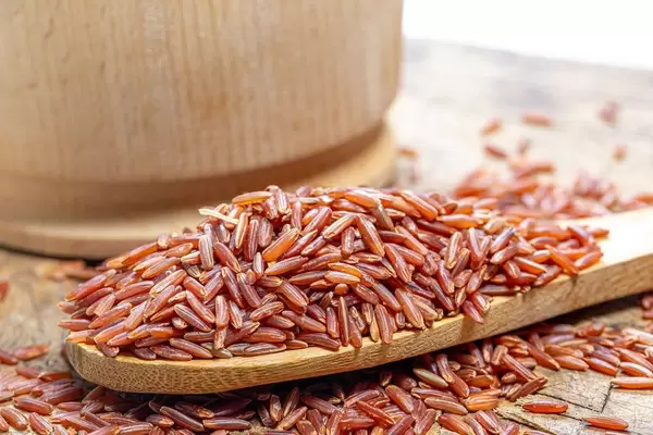 Brown rice in a wooden spoon closeup