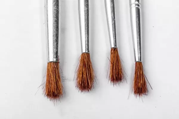 Brushes for paints on white