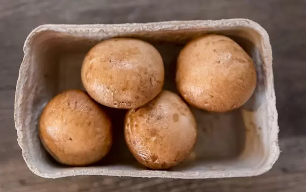 Brwon Mushrooms in a cardboard box