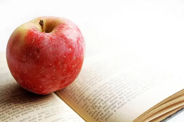 Buch mit Apfel (engl. A Book and An Apple)
