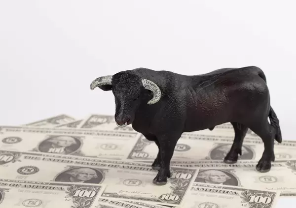Bull standing on money