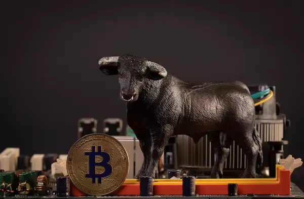 Bull With Bitcoin Cryptocurrency On Computer Motherboard