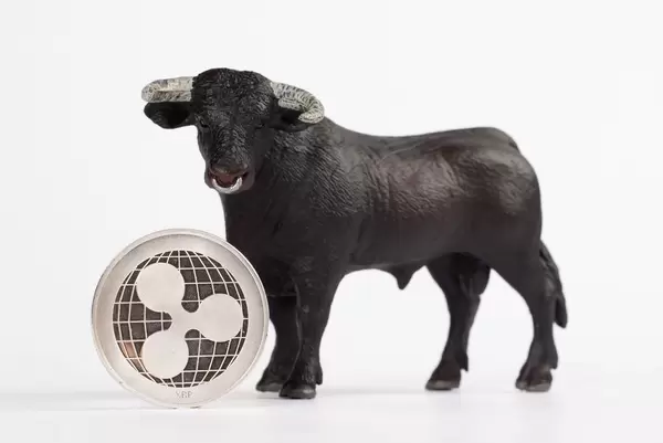 Bull with Ripple coin on white background