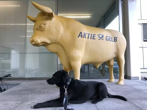 Bulldog - Aktienmarkt Bulle mit realem Hund nebendran