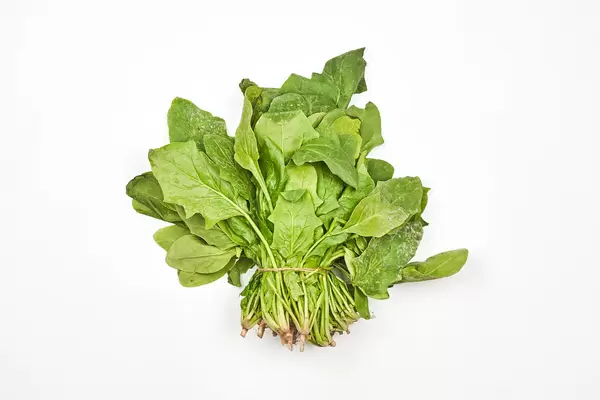 Bunch of arugula leafy green