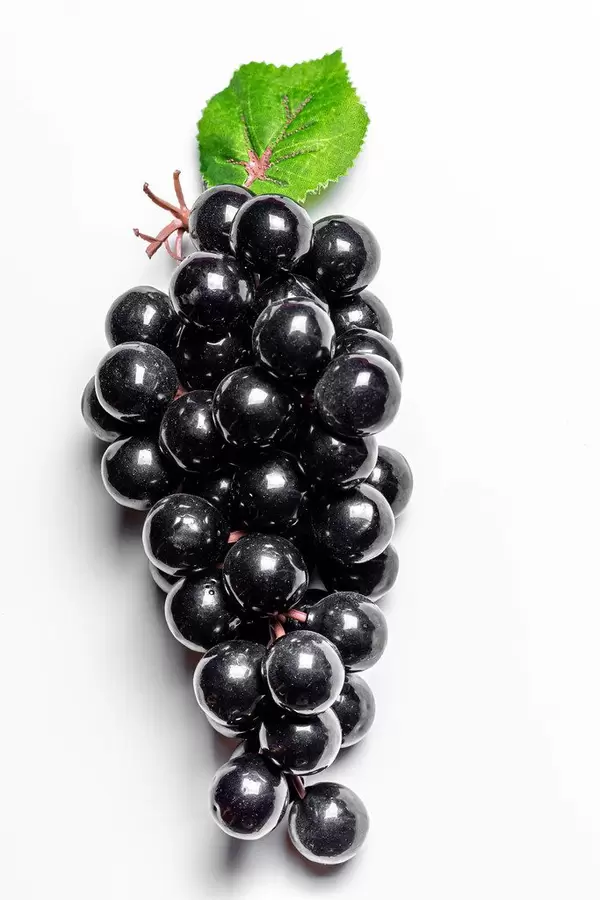 Bunch of black grapes on a white background. The view from the top