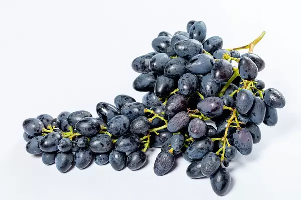Bunch of fresh blue grapes on white background (Flip 2019)