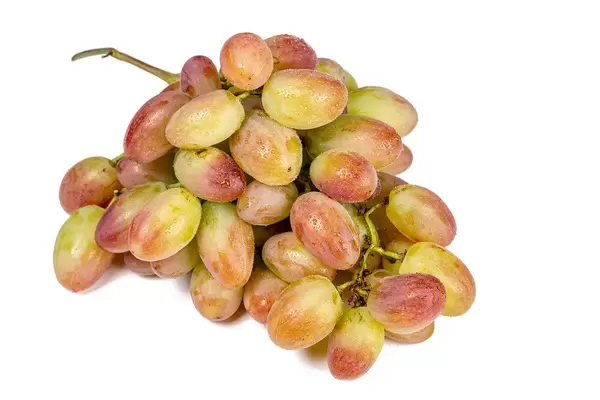 Bunch of fresh grapes on white