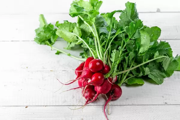 Bunch of fresh radish on white boards