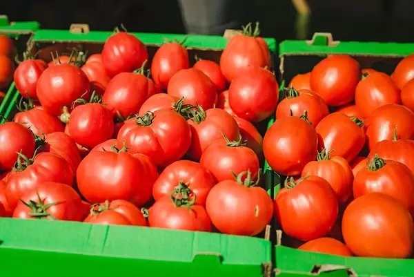 Bunch Of Fresh Tomatoes In Market (Flip 2019)
