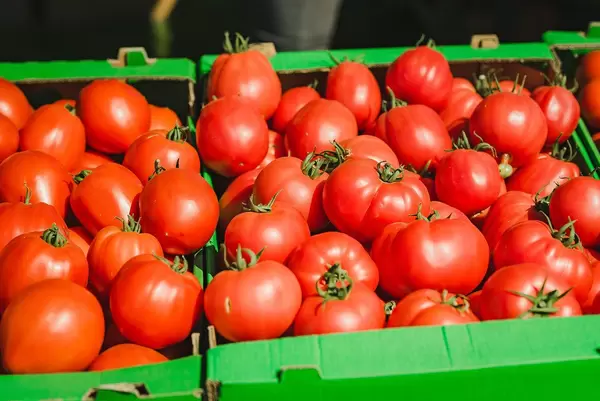 Bunch Of Fresh Tomatoes In Market