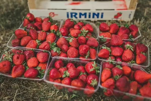 Bunch Of Strawberries On The Ground