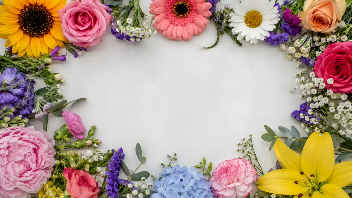 Bunte Blumen als Rahmen auf weißem Hintergrund