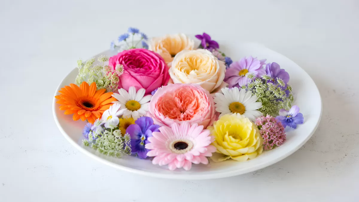 Bunte Blumen arrangiert auf weißem Teller
