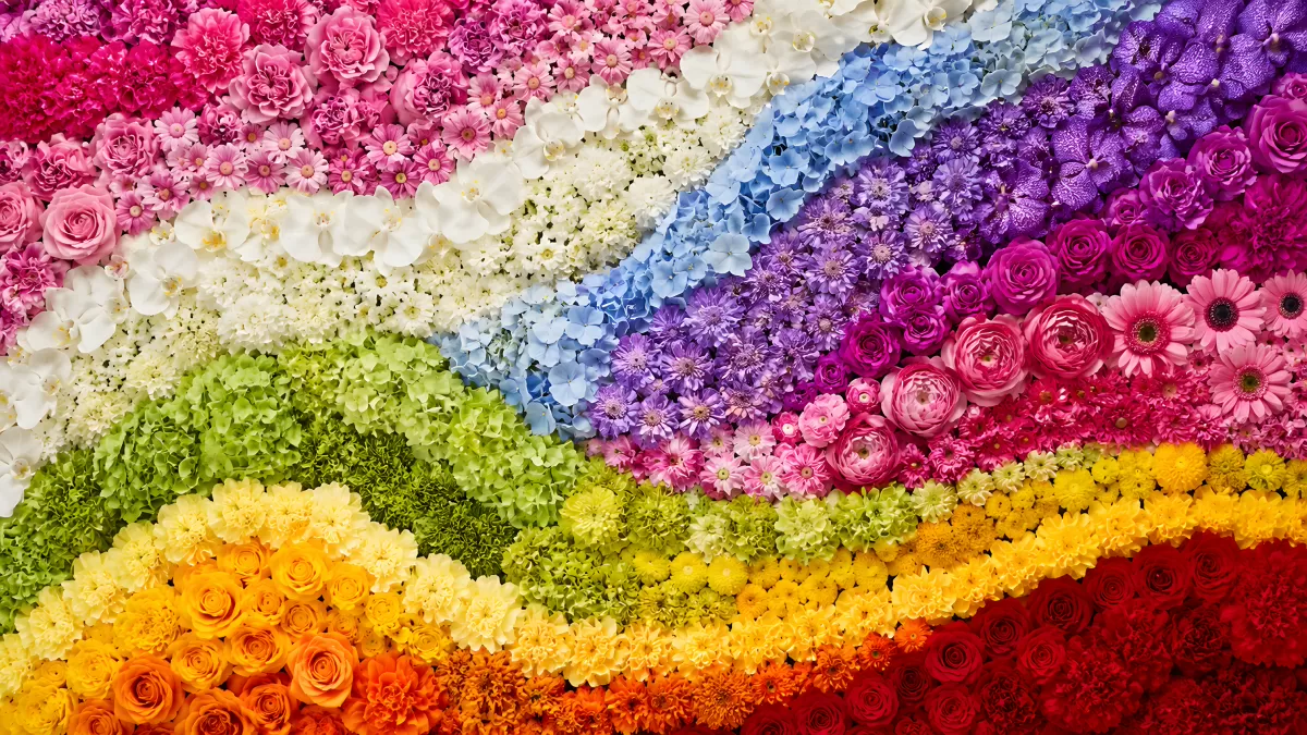 Bunte Blumenwand mit Rosen und Hortensien
